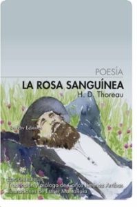 rosa-sanguinea
